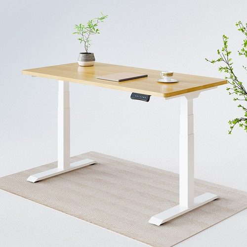 FlexiSpot E7 Pro Standing Desk